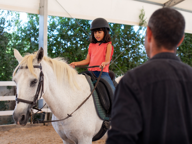 Horse Rider Training Website