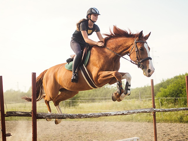 Horse Rider Training Website